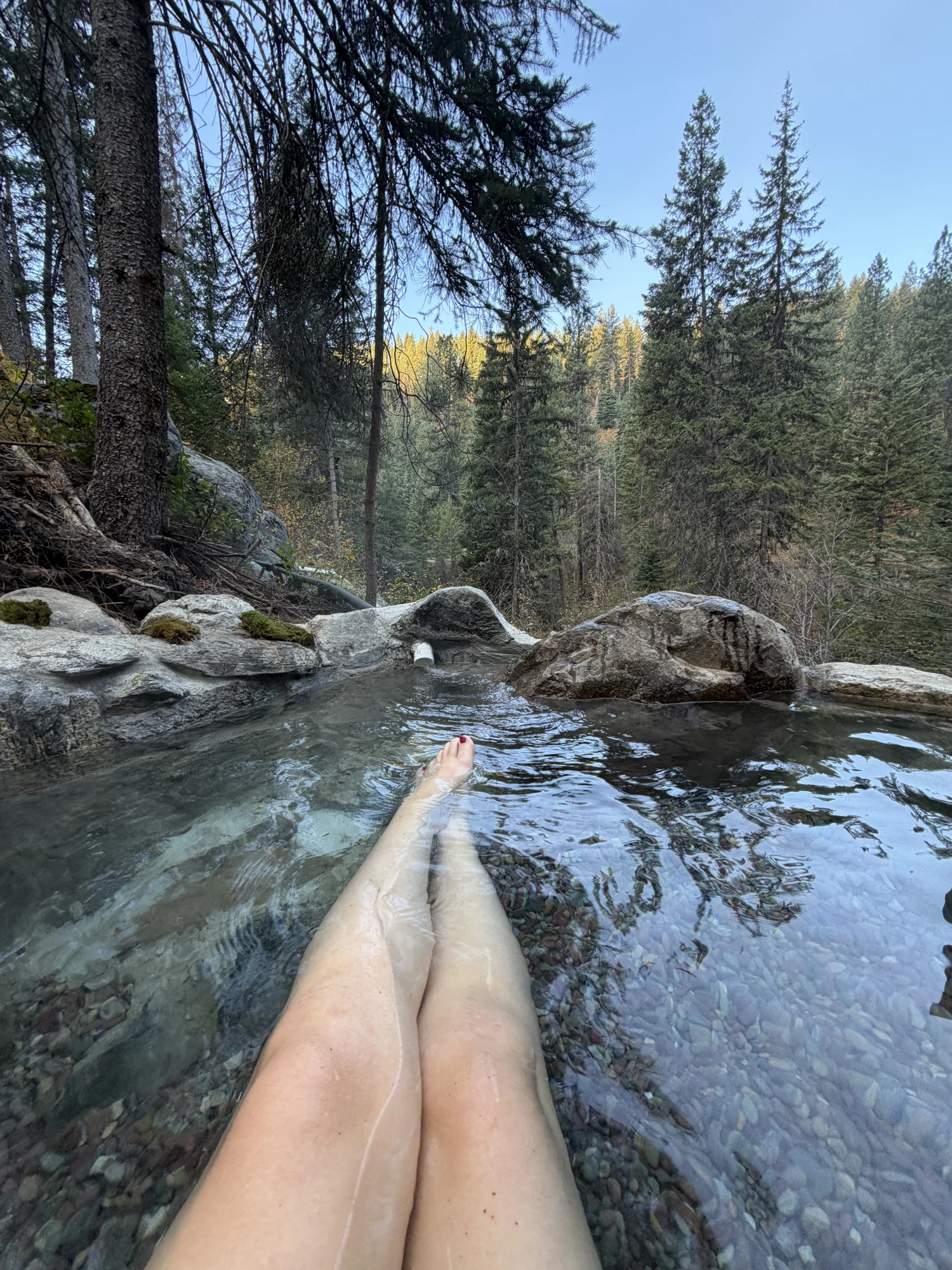 A guest soaking in the natural rock hot springs pool with a view of the evergreen forest